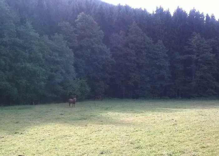 Сasa de vacaciones Ferienhaus-feinen